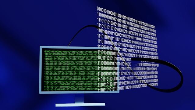 Binary data being duplicated from a computer screen